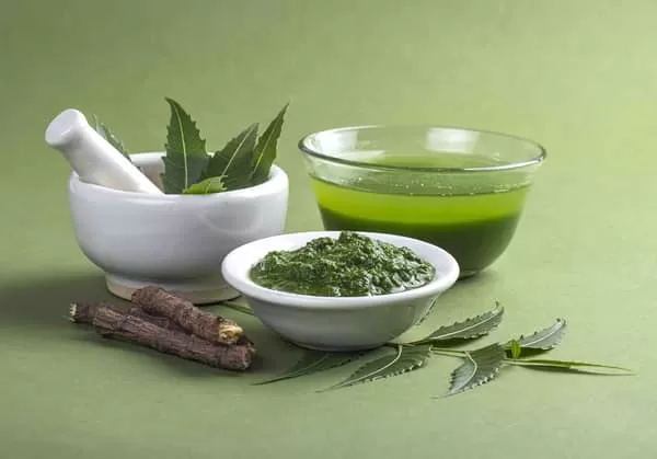 Authentic Ayurveda